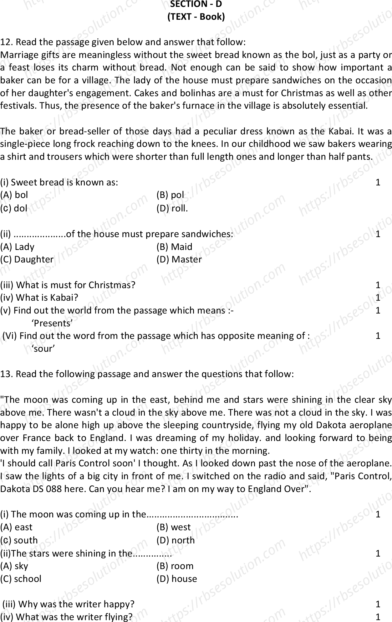 RBSE Class 10th 2023 English Sample Papers 6