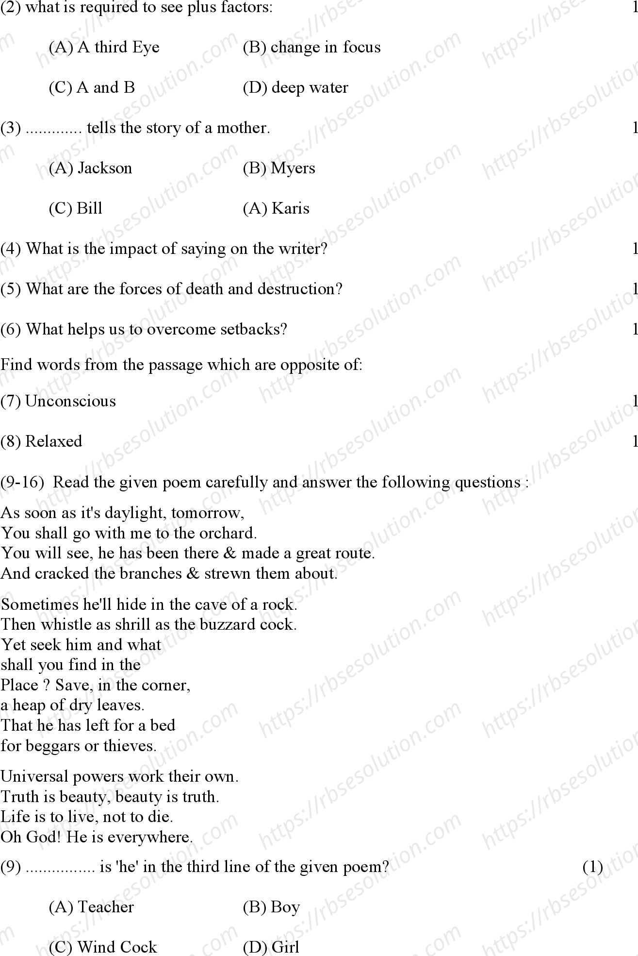 RBSE Class 12th 2024 English Literture Sample Papers 4