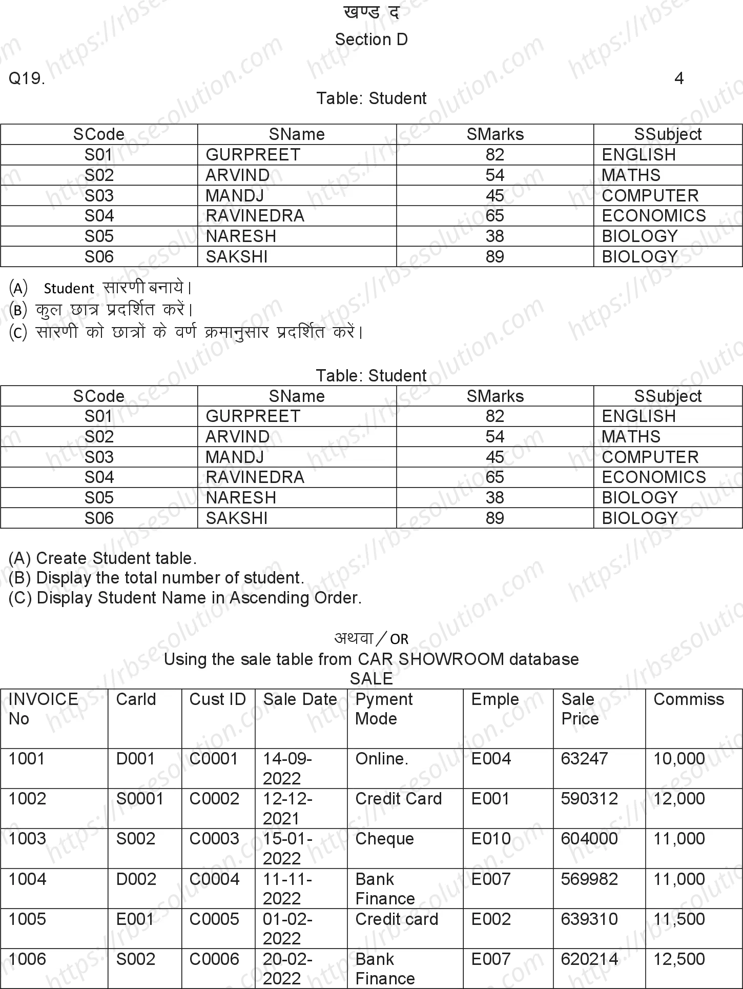 RBSE Class 12th 2024 Informatics Practices Sample Papers 11