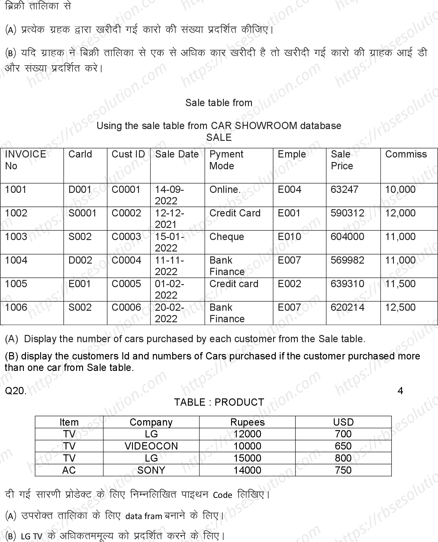 RBSE Class 12th 2024 Informatics Practices Sample Papers 12