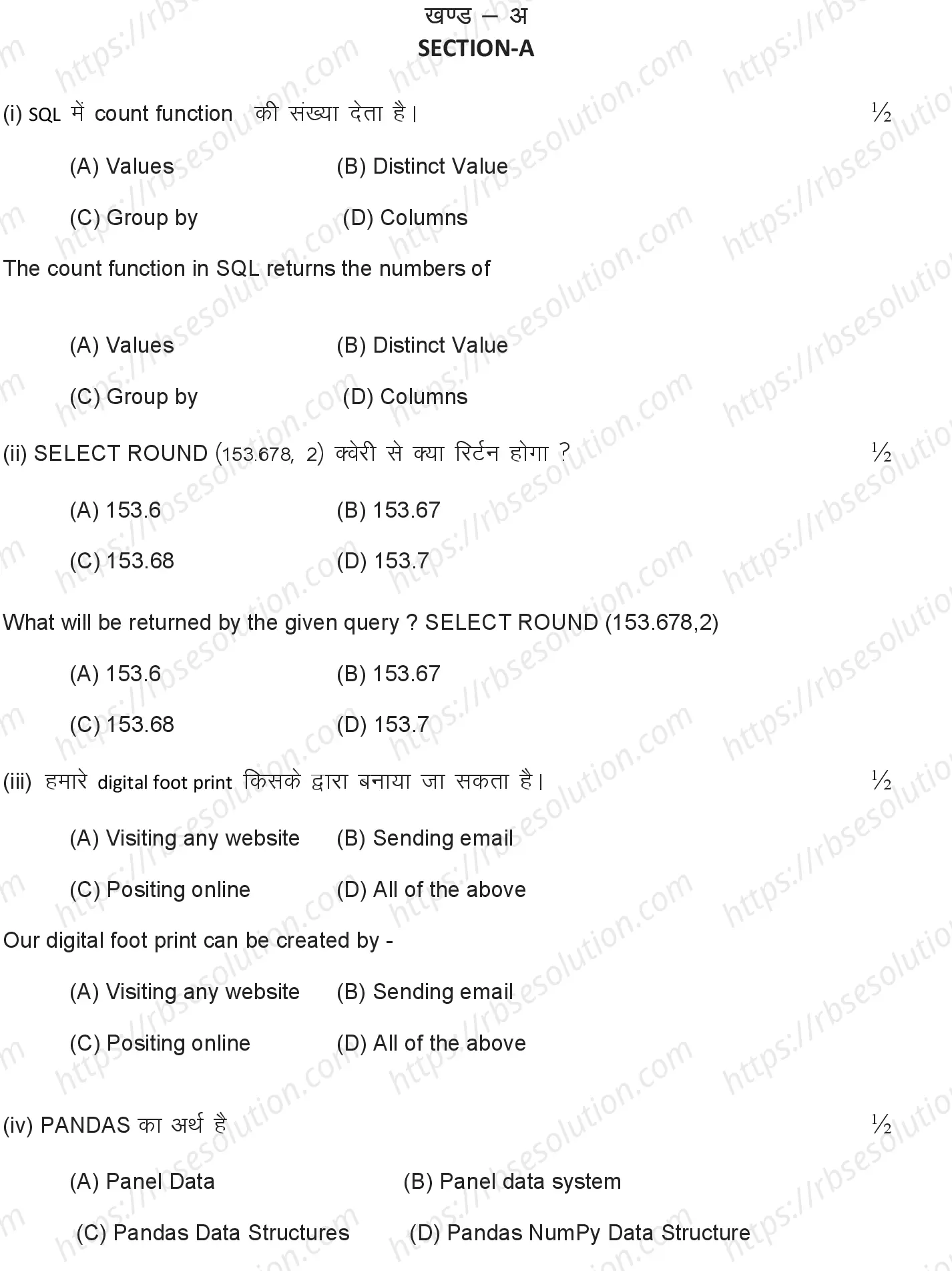 RBSE Class 12th 2024 Informatics Practices Sample Papers 3