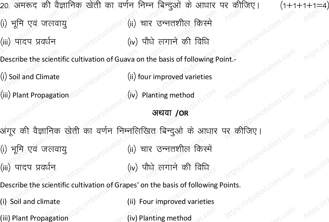 RBSE Class 12th 2024 कृषि विज्ञान Sample Papers 11