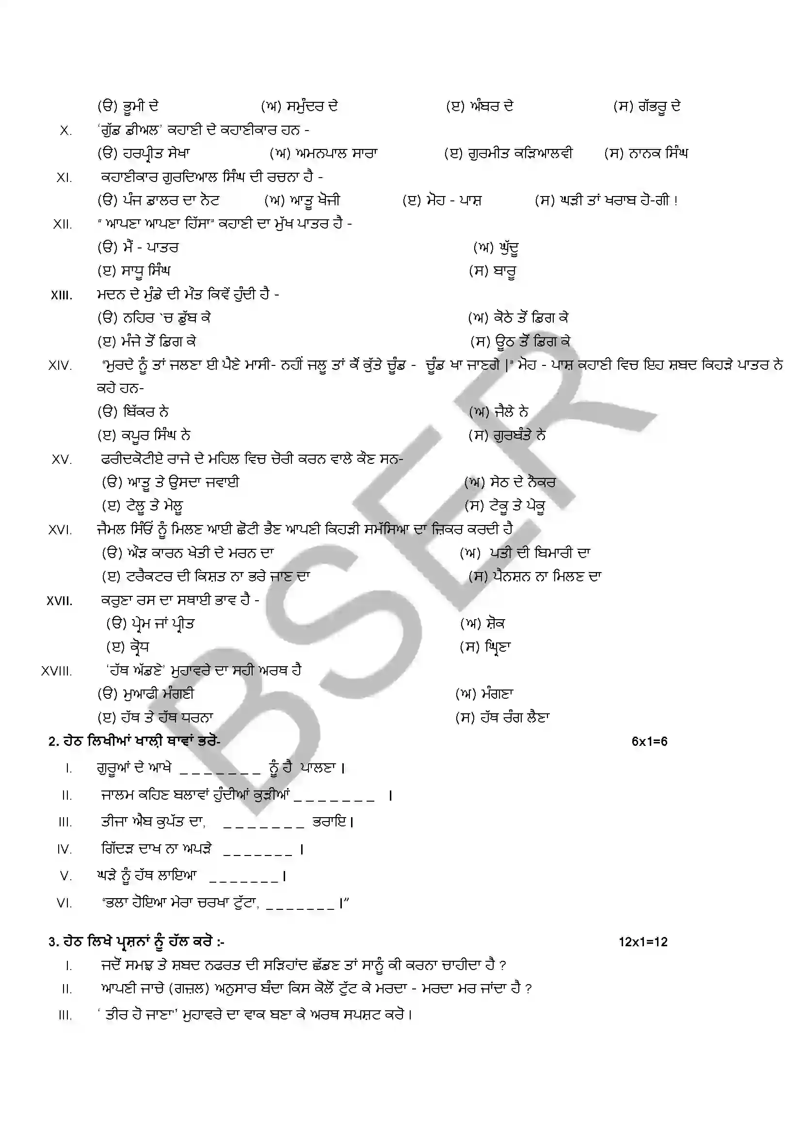 RBSE Class 12th 2025 Punjabi Literature (Opt. Subject) Sample Papers 5