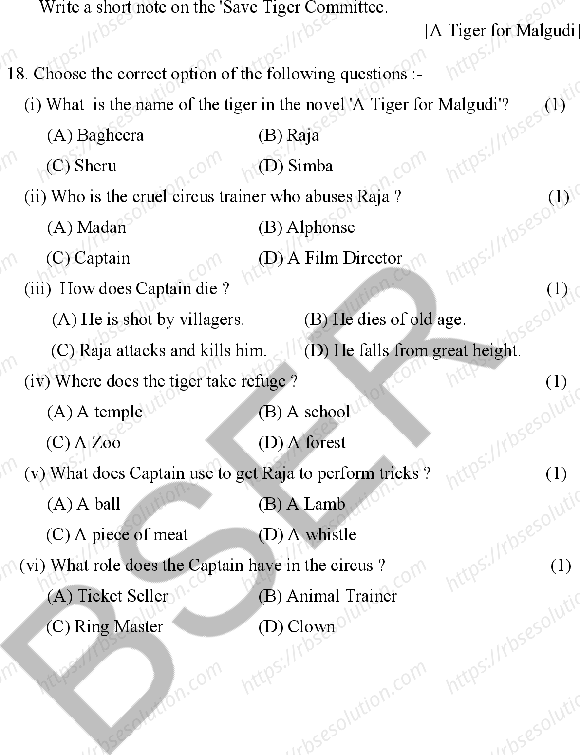 RBSE Class 12th 2026 English Literature Sample Papers 9