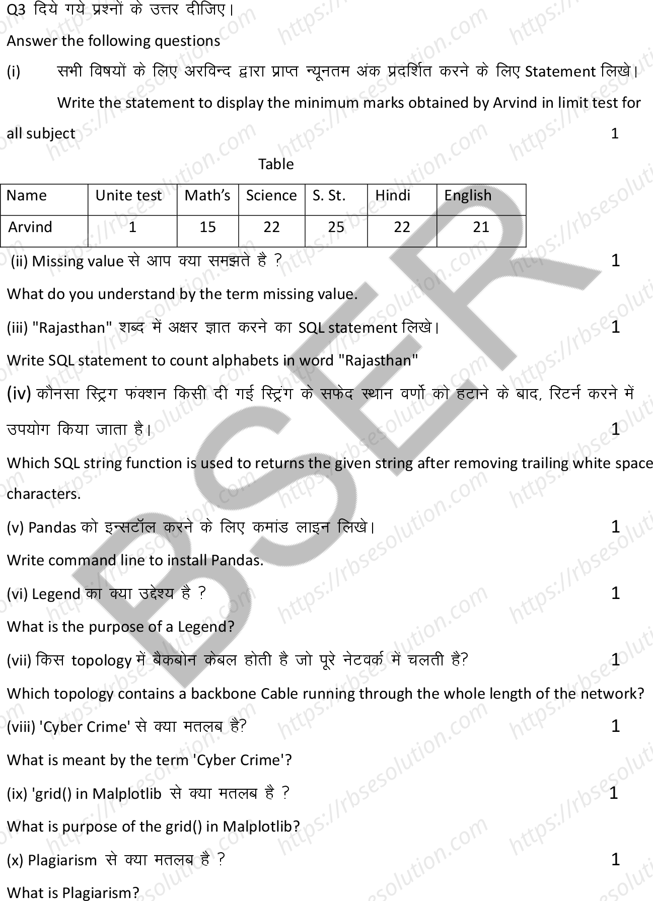 RBSE Class 12th 2026 Informatics Practices Sample Papers 8