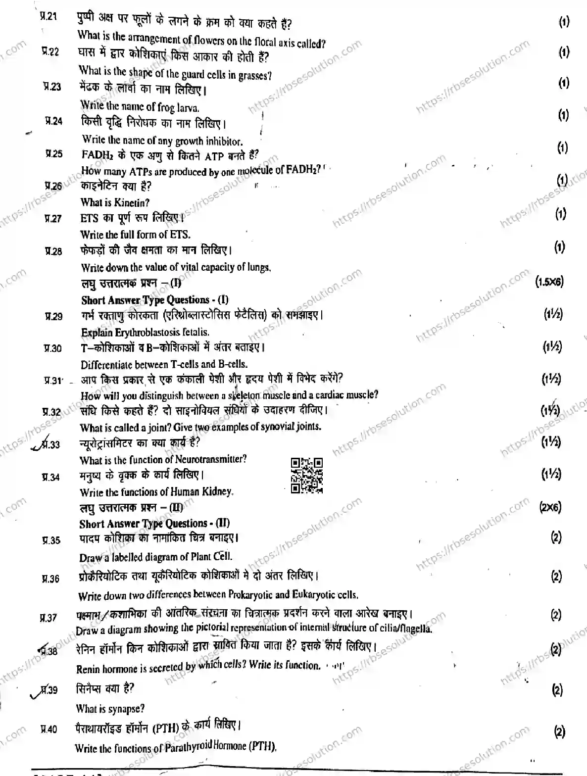 RBSE Class 11th 2026 BIOLOGY-1127 Previous Year Papers 2